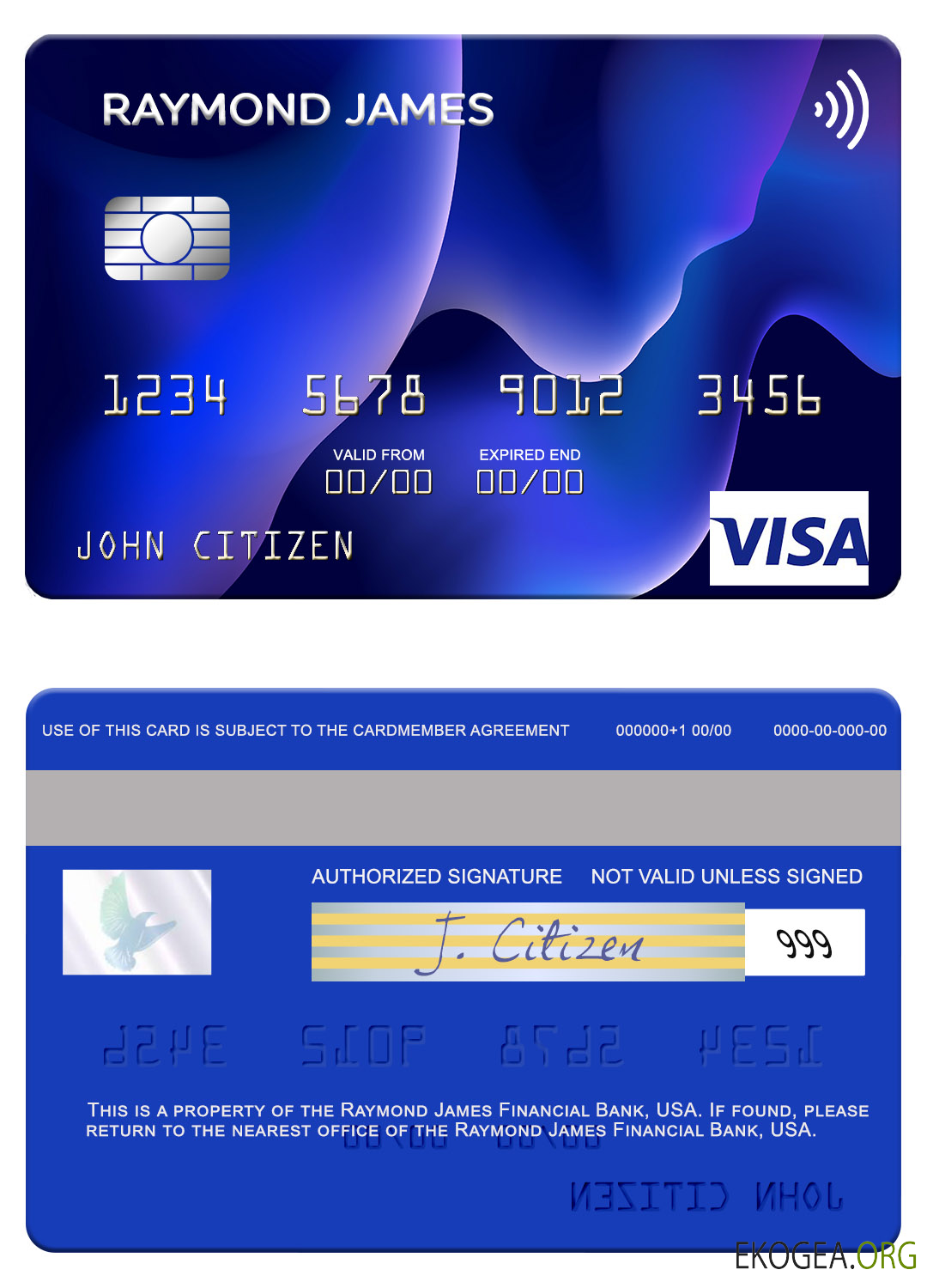 Carte visa USA Raymond James Financial Bank